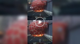 Надувной жираф перекрыл тоннель в Китае