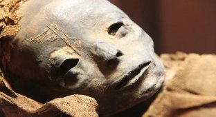 Египетская мумия раскрыла жуткую тайну «Чёрной смерти» (3 фото)