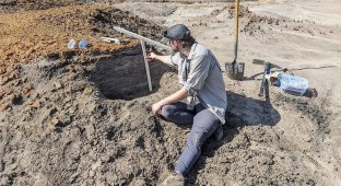 Giant dinosaur skeleton discovered in Mississippi (5 photos + 1 video)