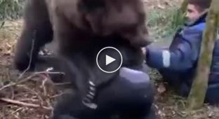 Nothing fancy, just sparring with a bear