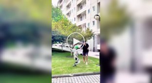 A collection of funny robot jokes
