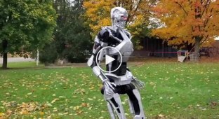 Retired Terminator: robot beggar fails candy collection mission