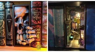 25 Awesome Bookshelf Inserts Every Book Lover Will Love (26 Photos)