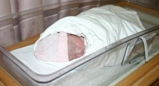 У Польщі дитина народилася через 55 днів після смерті своєї матері