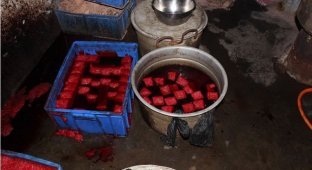 Цех по производству деликатесов из фальшивой утиной крови (7 фото)