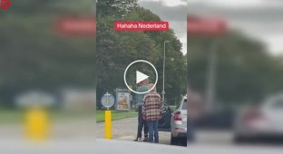 Saintly patience on the road: a Dutch driver remains calm despite the spitting of an aggressor
