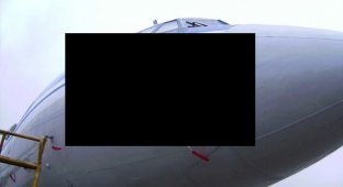Столкновение самолета Ту-154м с гусем (22 фото)