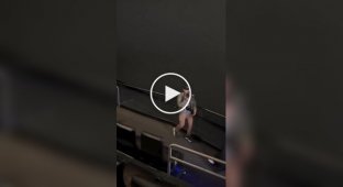 Джаред Лето эффектно вышел к фанатам «Трона» — но фанатов не оказалось