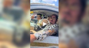 Когда золото и стразы становятся образом жизни