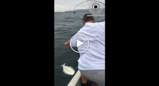 Рыбак выловил в море палтуса, но тот сорвался с крючка