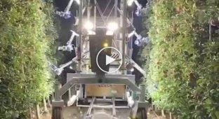 Agricultural robot capable of picking 30 fruits per minute