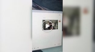 Житель Китая превратил друзей в питомцев на рабочем столе