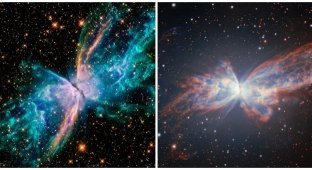 Chilean Astronomers Show How a Star Transforms into a Masterpiece (3 photos + 1 video)