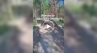 Украинский дрон-камикадзе петляет по лесным зарослям навстречу российскому танку