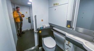 Туалети в німецьких електричках: руками нічого не чіпати (5 фото)