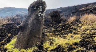 Каменные идолы моаи пострадали из-за пожара на острове Пасхи (4 фото)