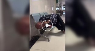A man got his head stuck in a bench railing