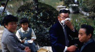 Япония 1950-х годов (52 фотографии)