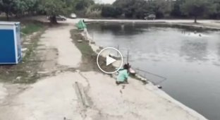 Собака настоящий рыболов