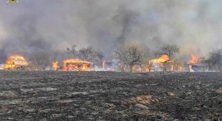 Пожар в Щучинском районе: сгорело более 20 домов (7 фото)