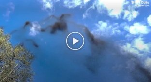 Необычное брачное поведение комаров в полете