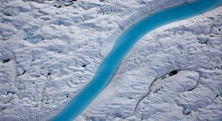 Ледники Гренландии (12 фото)