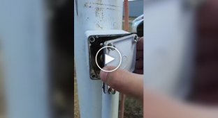 A typical day in Australia