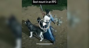 Кумедний маунт у китайській комп'ютерній грі