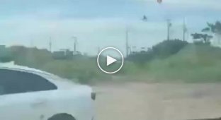 Electric landing