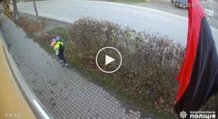 Полуторагодовалая девочка попала под колеса грузовика в Закарпатье