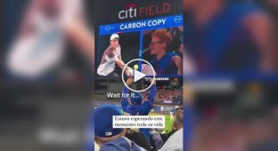 Идеальное совпадение в игре