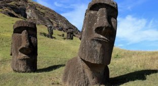 Ecocide has nothing to do with it: what really killed the entire population of Easter Island has been found (3 photos)