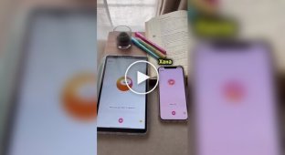 Типичный разговор японских нейросетей