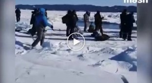Не опять, а снова на Сахалине оторвалась льдина с шестью сотнями рыбаков (мат)