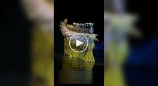 Какая слаженность