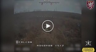 Украинские военные при помощи FPV-дронов уничтожают российскую штурмовую группу возле Бахмута