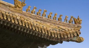 What kind of animals are those sitting on the roofs in Beijing? (8 photos)