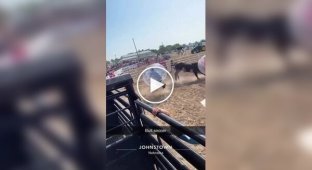 Футбол із биком