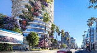 In the States, a “green” façade was presented on the new office tower of The Star in Los Angeles (4 photos)