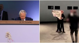 Eco-activists threw a cake at the head of the Volkswagen Supervisory Board, Wolfgang Porsche (3 photos + 2 videos)