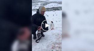 A penguin saw strange personalities for the first time