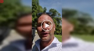 Cheeky monkeys stole golf clothes from a tourist