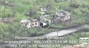 Destruction of the Russian 240-mm mortar 2S4 "Tulip"