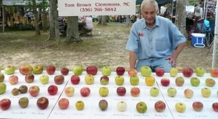 Пенсионер собрал крупнейший в мире «яблоневый ковчег» (5 фото)