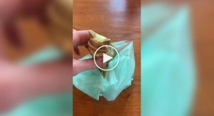 Пакети з маніоки: біорозкладна альтернатива пластику