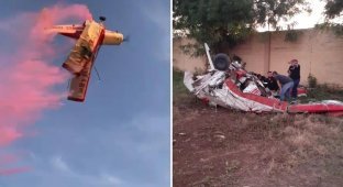 In Mexico, a plane crashed that was supposed to announce the gender of the unborn child to the couple (2 photos + 1 video)
