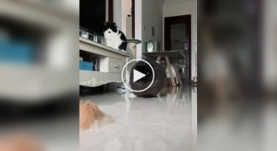 Привет от Дона Котлеоне