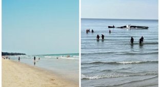 A Light Airplane Crashed into the Sea Off a Beach in Thailand. There are victims (5 photos)