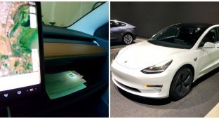 Владельцы Tesla обнаружили в автомобилях нецензурные голосовые команды (2 фото + 1 видео)