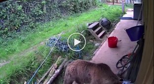 In the UK, the world's first underwater jetpack, CudaJet, was developed